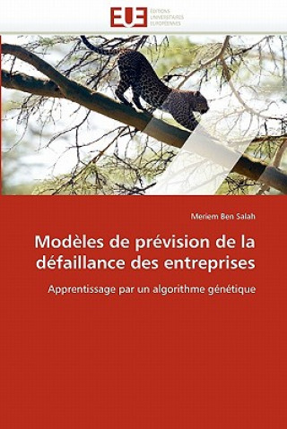 Livre Mod les de Pr vision de la D faillance Des Entreprises Meriem Ben Salah