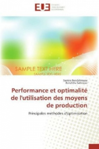 Carte Performance et optimalité de l'utilisation des moyens de production Samira Bendahmane