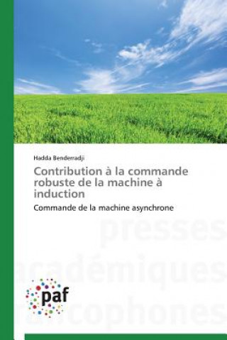 Książka Contribution A La Commande Robuste de la Machine A Induction Hadda Benderradji
