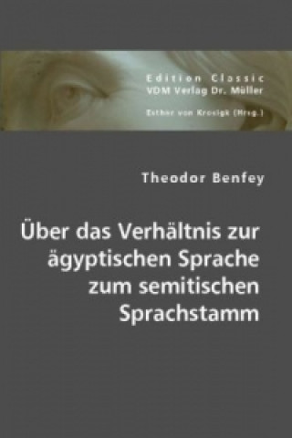 Könyv Über das Verhältnis zur ägyptischen Sprache zum semitischen Sprachstamm Theodor Benfey