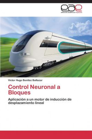 Könyv Control Neuronal a Bloques Victor Hugo Benitez Baltazar