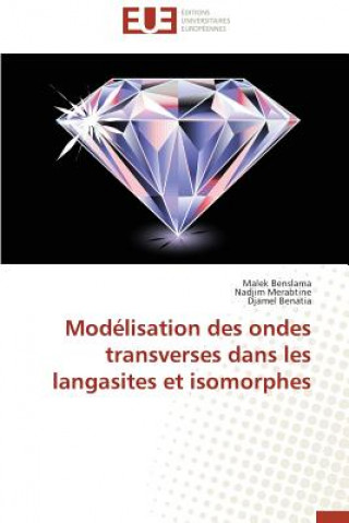 Carte Mod lisation Des Ondes Transverses Dans Les Langasites Et Isomorphes Malek Benslama