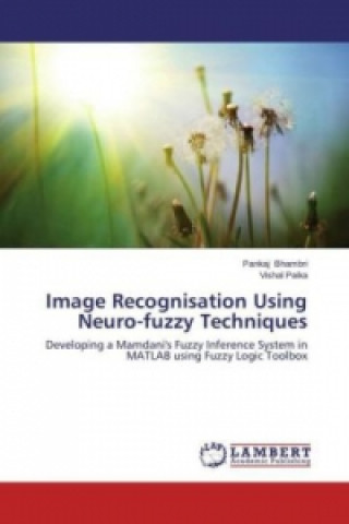 Kniha Image Recognisation Using Neuro-fuzzy Techniques Pankaj Bhambri