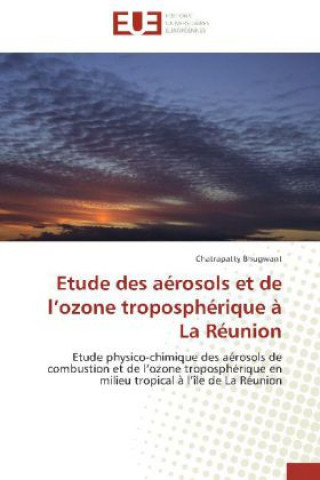 Knjiga Etude des aérosols et de l'ozone troposphérique à La Réunion Chatrapatty Bhugwant