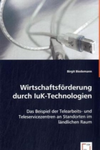 Könyv Wirtschaftsförderung durch IuK-Technologien Birgit Biedemann