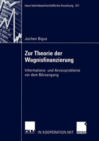 Carte Zur Theorie der Wagnisfinanzierung Jochen Bigus