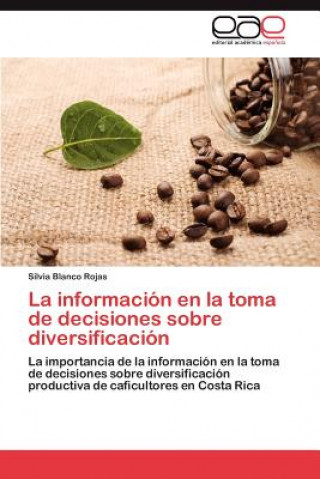 Livre informacion en la toma de decisiones sobre diversificacion Silvia Blanco Rojas