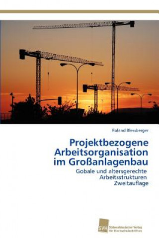 Könyv Projektbezogene Arbeitsorganisation im Grossanlagenbau Roland Blessberger