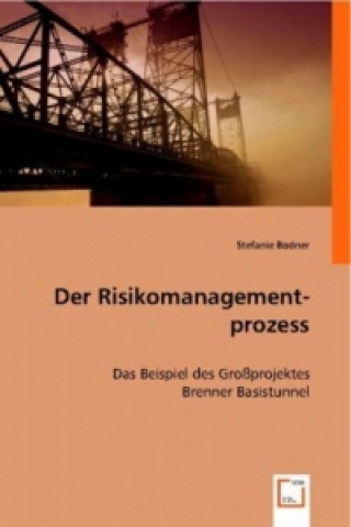 Kniha Der Risikomanagementprozess Stefanie Bodner
