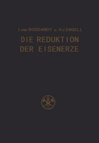 Kniha Die Reduktion der Eisenerze Ludwig von Bogdandy