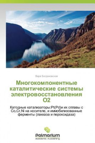 Kniha Mnogokomponentnye kataliticheskie sistemy elektrovosstanovleniya O2 Vera Bogdanovskaya