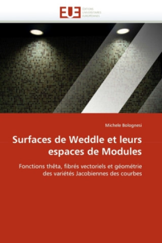 Książka Surfaces de Weddle Et Leurs Espaces de Modules Michele Bolognesi