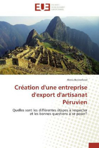 Buch Création d'une entreprise d'export d'artisanat Péruvien Alexis Bonnefond