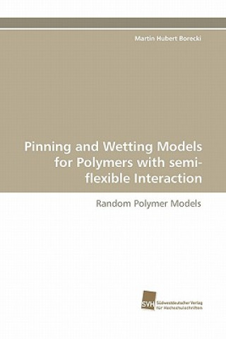 Könyv Pinning and Wetting Models for Polymers with semi-flexible Interaction Martin Hubert Borecki