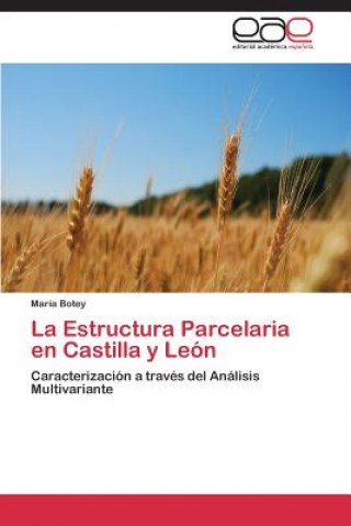 Carte Estructura Parcelaria en Castilla y Leon María Botey