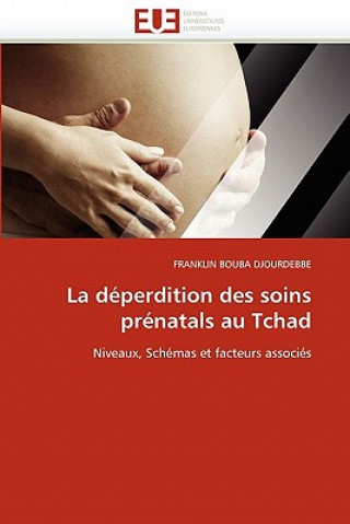 Книга La D perdition Des Soins Pr natals Au Tchad Franklin Bouba Djourdebbe
