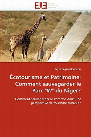Kniha cotourisme Et Patrimoine Seyni Gagara Boubacar