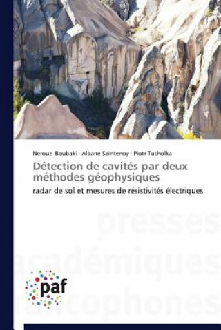 Książka Detection de Cavites Par Deux Methodes Geophysiques Nerouz Boubaki