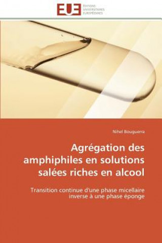 Kniha Agregation des amphiphiles en solutions salees riches en alcool Nihel Bouguerra