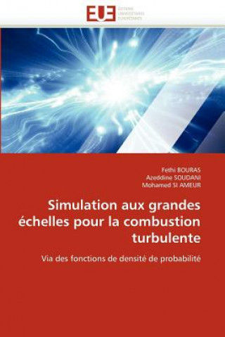 Buch Simulation aux grandes echelles pour la combustion turbulente Fethi BOURAS
