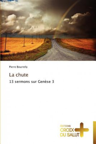 Buch La chute Pierre Bourrelly