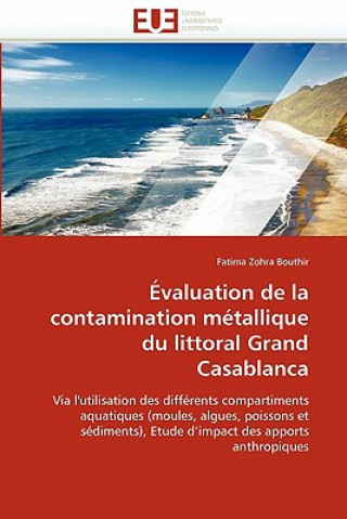 Kniha valuation de la Contamination M tallique Du Littoral Grand Casablanca Fatima Zohra Bouthir