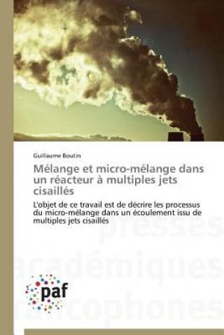 Kniha Melange Et Micro-Melange Dans Un Reacteur A Multiples Jets Cisailles Guillaume Boutin
