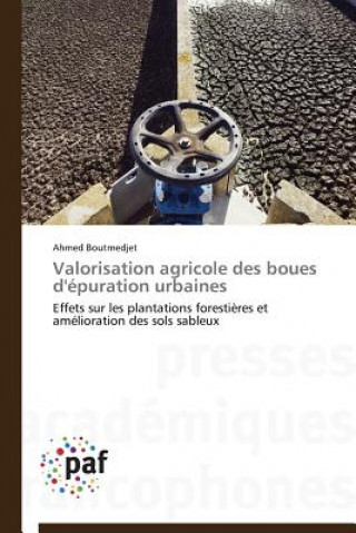 Könyv Valorisation Agricole Des Boues d'Epuration Urbaines Ahmed Boutmedjet