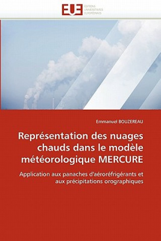 Carte Repr sentation Des Nuages Chauds Dans Le Mod le M t orologique Mercure Emmanuel Bouzereau