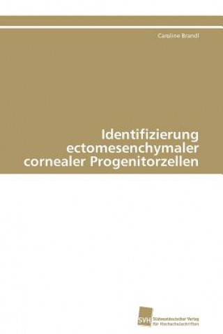 Carte Identifizierung ectomesenchymaler cornealer Progenitorzellen Caroline Brandl