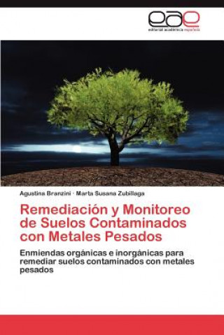 Carte Remediacion y Monitoreo de Suelos Contaminados Con Metales Pesados Agustina Branzini