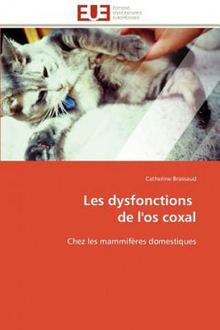 Könyv Les Dysfonctions de l'Os Coxal Catherine Brassaud