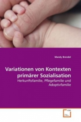 Libro Variationen von Kontexten primärer Sozialisation Mandy Brendel