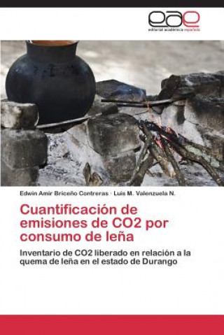 Carte Cuantificacion de emisiones de CO2 por consumo de lena Luis M. Valenzuela N.