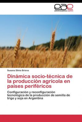 Könyv Dinamica socio-tecnica de la produccion agricola en paises perifericos Susana Silvia Brieva