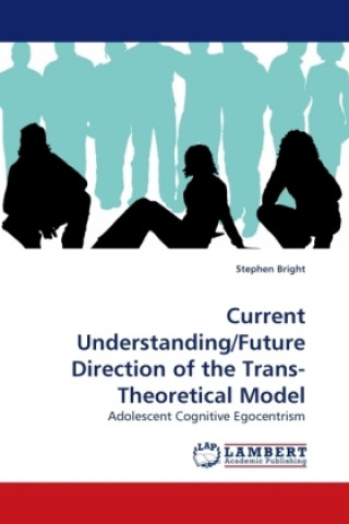 Buch Current Understanding/Future Direction of the Trans-Theoretical Model Stephen Bright