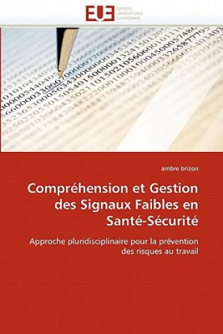 Könyv Compr hension Et Gestion Des Signaux Faibles En Sant -S curit Ambre Brizon
