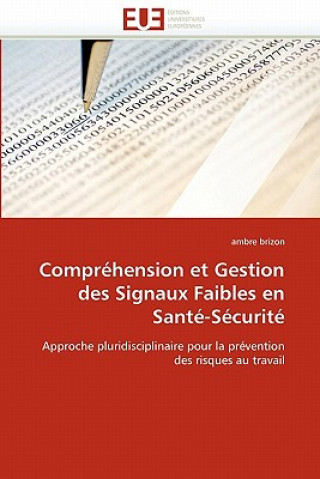 Buch Compr hension Et Gestion Des Signaux Faibles En Sant -S curit Ambre Brizon