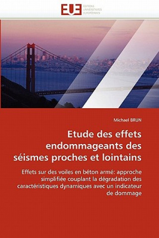 Kniha Etude Des Effets Endommageants Des S ismes Proches Et Lointains Michael Brun