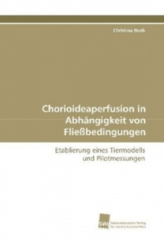 Könyv Chorioideaperfusion in Abhängigkeit von  Fließbedingungen Christina Bueb