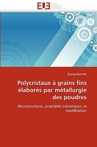 Carte Polycristaux   Grains Fins  labor s Par M tallurgie Des Poudres Quang Hien Bui