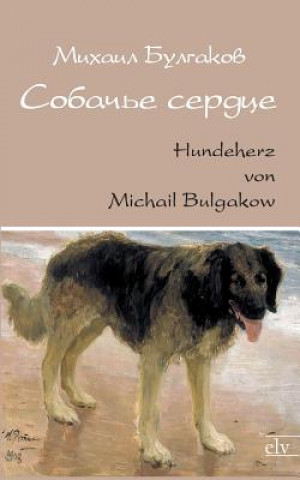 Kniha Sobatsche Serdze/Hundeherz Michail Bulgakow