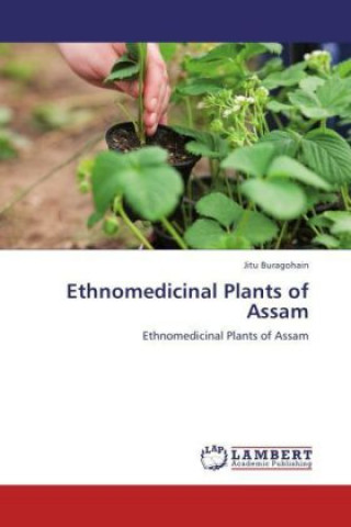 Kniha Ethnomedicinal Plants of Assam Jitu Buragohain