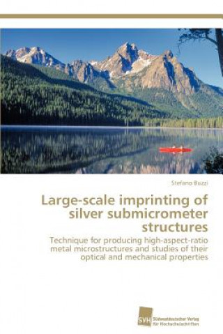 Carte Large-scale imprinting of silver submicrometer structures Stefano Buzzi