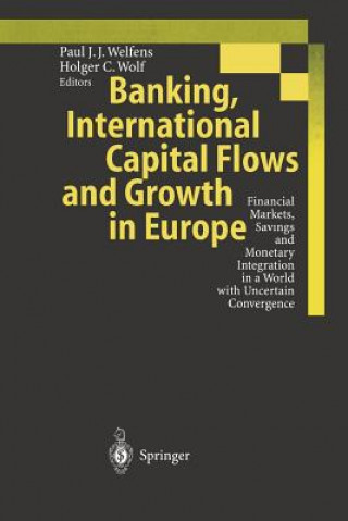 Könyv Banking, International Capital Flows and Growth in Europe Paul J. J. Welfens