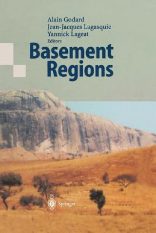 Książka Basement Regions Alain Godard