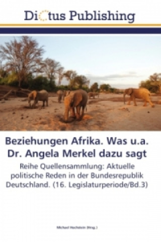 Kniha Beziehungen Afrika. Was u.a. Dr. Angela Merkel dazu sagt Michael Hochstein