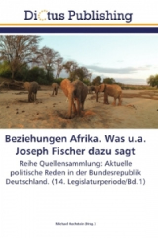 Libro Beziehungen Afrika. Was u.a. Joseph Fischer dazu sagt Michael Hochstein