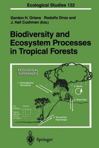 Buch Biodiversity and Ecosystem Processes in Tropical Forests J. Hall Cushman