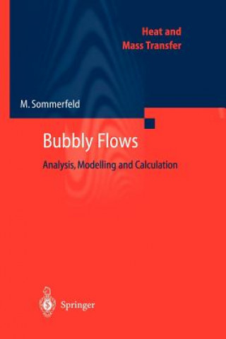 Книга Bubbly Flows Martin Sommerfeld